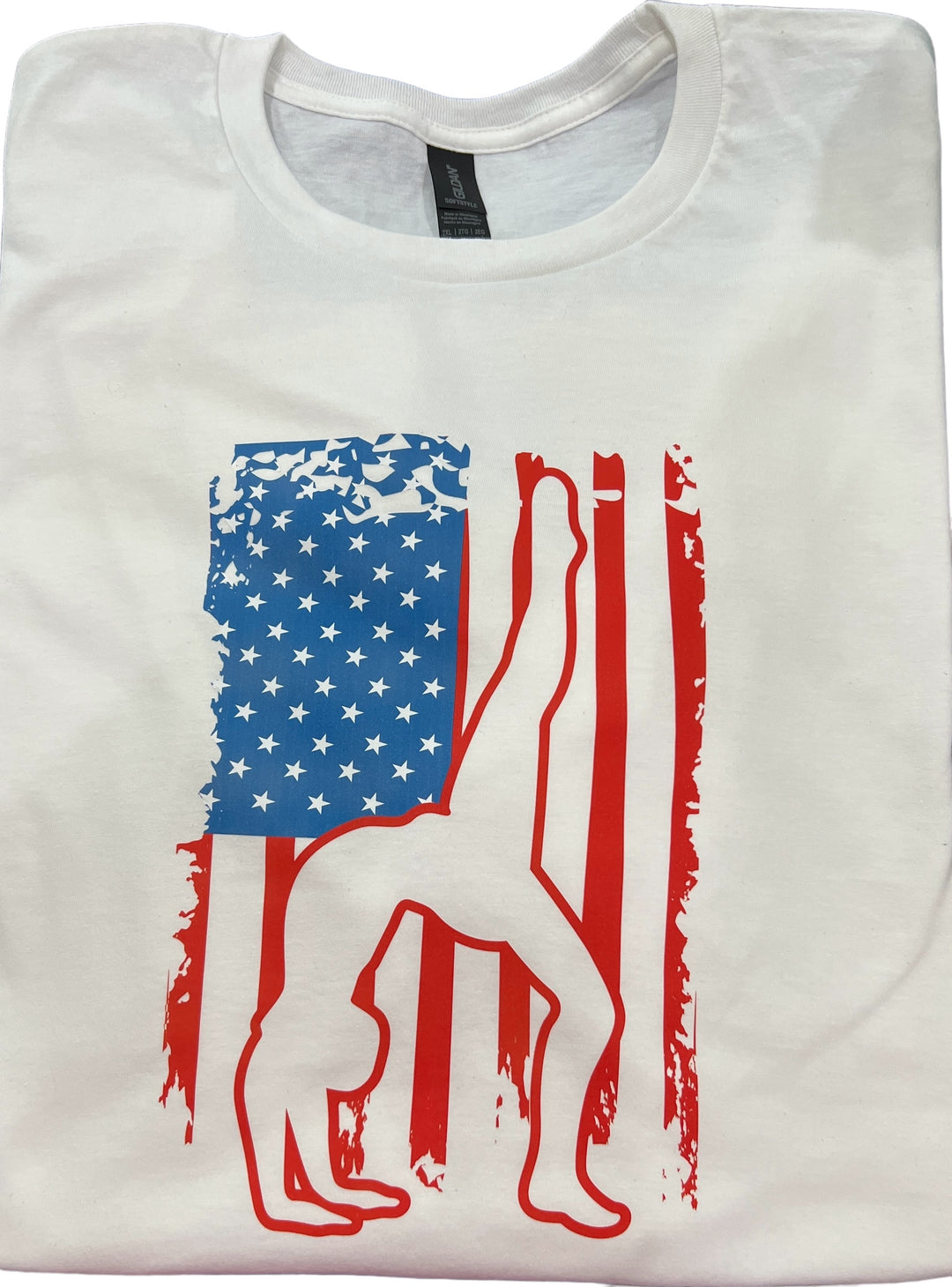 SALE!! - Gymnastics USA Flag white short sleeve tee