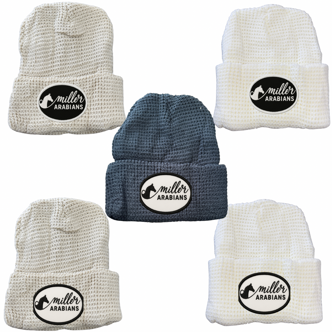Miller Arabians patch waffle beanie hat - one size fits most - LIMITED EDITION - ready before Christmas!